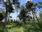 Crystal River, Citrus County, FL Undeveloped Land, Homesites for sale Property