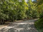 00 RIVER ROAD, Columbus, NC 28722 Land For Sale MLS# 4076113