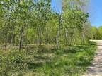 Elmira, Antrim County, MI Undeveloped Land, Homesites for sale Property ID: