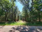Adams, Adams County, WI Undeveloped Land for sale Property ID: 417438759