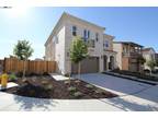 2626 Mount Dana Ct