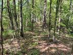 Helen, White County, GA Timberland Property for sale Property ID: 416367206