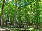 Chanhassen, Carver County, MN Undeveloped Land, Homesites for sale Property ID: