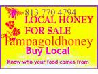 Tampa Local Honey Sold In Tampa