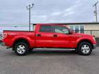 2011 Ford F150 SuperCrew Cab for sale