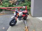 2024 Honda Monkey ABS Motorcycle for Sale