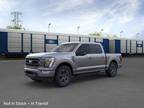 2023 Ford F-150 Gray, new