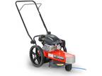 DR Power Equipment Premier 22 in. Briggs & Stratton Push