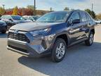 2024 Toyota RAV4 Hybrid Gray