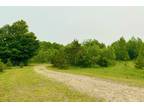 Newberry, Luce County, MI Undeveloped Land for sale Property ID: 416775911