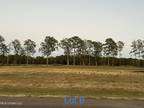 Brandon, Rankin County, MS Undeveloped Land, Homesites for sale Property ID: