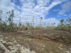 Madison, Madison County, FL Recreational Property, Timberland Property