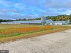 Marion, Somerset County, MD Farms and Ranches for sale Property ID: 415394783