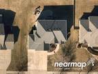 Foreclosure Property: NE 95th Ter