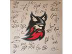 Adirondack Thunder 2018-19 Handpainted Canvas (Team Signed)