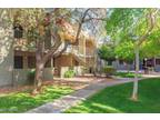 3040 E Shea Blvd #1, Phoenix, AZ 85028