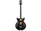 Ibanez AM Artcore Expressionist Electric Guitar 6 String Black