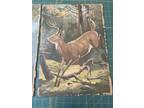 Vintage Pair Paint By Number Elk & Deer Wildlife 1950s Amateur Rustic Cabin