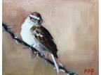 PDQ Artist Original Oil Painting Wild Life Bird Sparrow Alla-Prima Realistic Art