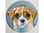 Cute Puppy Face Art Broadway Original 6 in. across illustration board painting