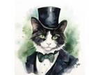 Watercolor Tuxedo Cat Art Print 8x11 inch