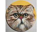 Persian Cat Art Broadway Original 6 in. across Canvas Panel painting