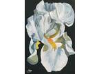 Art Broadway Original Floral Peony Stretched Canvas 4x6 in. painting