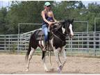 Stunning Beginner Safe and Family Approved Paint Gelding Full Video