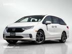 2024 Honda Odyssey Silver|White, new