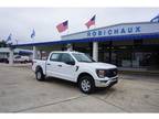 2023 Ford F-150 White, 33 miles