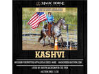 Kashvi~Extra Smooth, Gentle & Fun Flashy Beginner Friendly Mft / Appy Mare