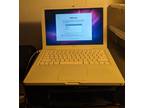 Apple MacBook Snow Leopard OS - A1181 - WORKING CONDITION - Mac Box Set included