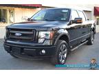 Used 2014 FORD F150 For Sale