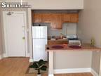 Furnished Lincoln Park, North Side room for rent in Studio Apartment
