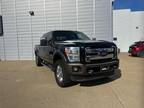 2015 Ford Super Duty F-250 SRW Platinum