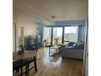 Furnished Loop, Downtown room for rent in 2 Bedrooms, Apartment for 1350 per