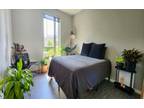Rental listing in Downtown, Seattle Area. Contact the landlord or property