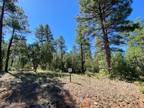 2221 W Whispering Springs Rd, Show Low, AZ 85901