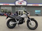 2024 Yamaha TW200 Motorcycle for Sale