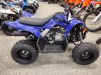 2024 Yamaha Raptor 110