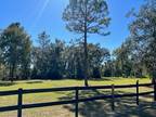 Williston, Levy County, FL Undeveloped Land, Homesites for sale Property ID: