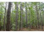 Parkdale, Coosa County, AL Timberland Property, Hunting Property for sale
