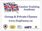 Dog Training Classes