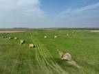 Harvey, Wells County, ND Farms and Ranches for auction Property ID: 417798576