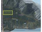 Chickaloon, Matanuska-Susitna Borough, AK Undeveloped Land, Lakefront Property