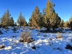 California Land 1.46 Acres - Scattered Pines