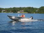 2024 Stanley Tiller 17DC Boat for Sale