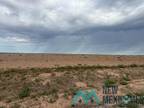 Lake Arthur, Chaves County, NM Undeveloped Land for sale Property ID: 417750876