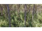 Wautoma, Waushara County, WI Undeveloped Land for sale Property ID: 417267752