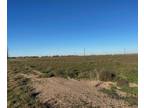 Idalou, Lubbock County, TX Undeveloped Land for sale Property ID: 418173167